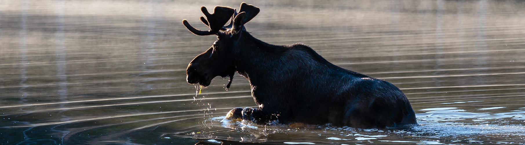 colorado water quality data