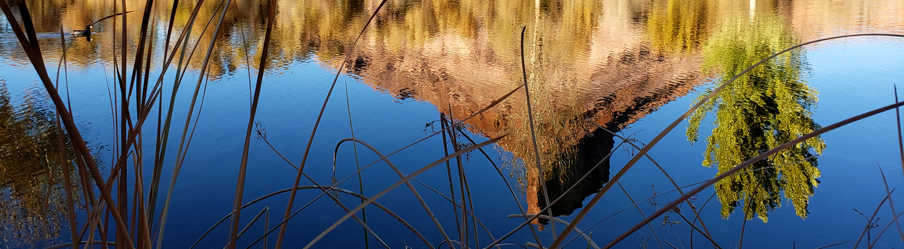 colorado water quality data