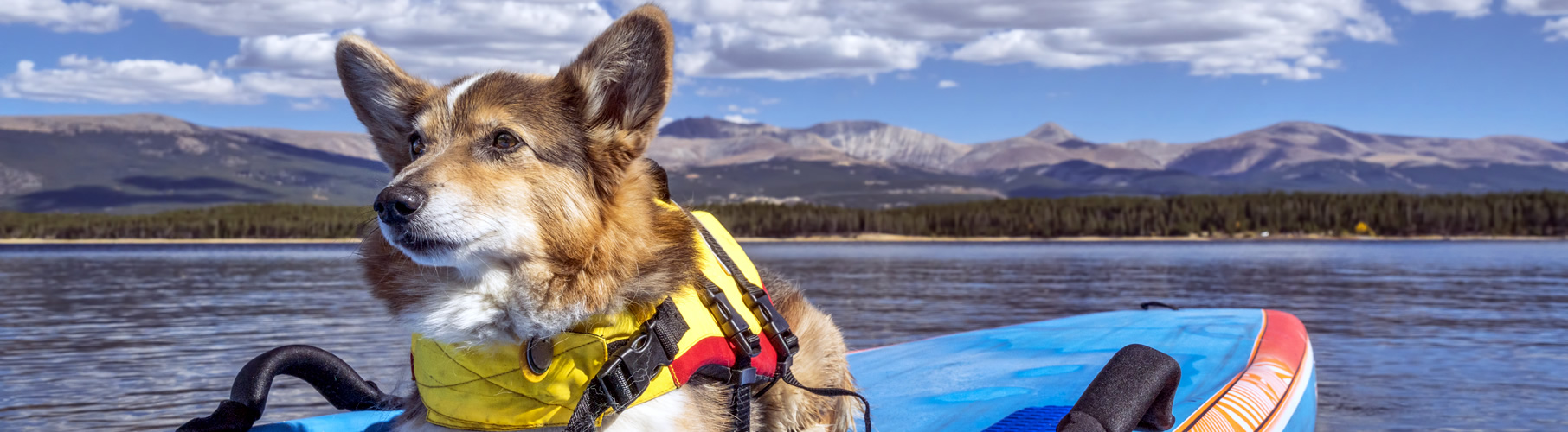 colorado water quality data