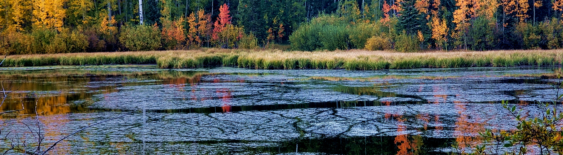 colorado water quality data